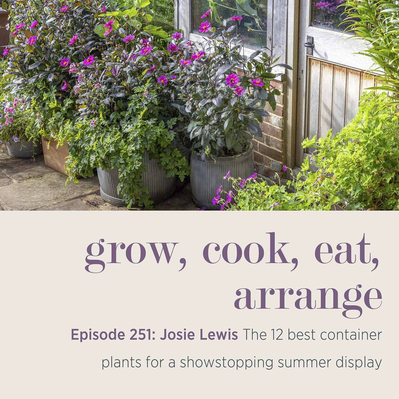 Josie Lewis: The 12 best container plants for a showstopping summer display - Episode 251
