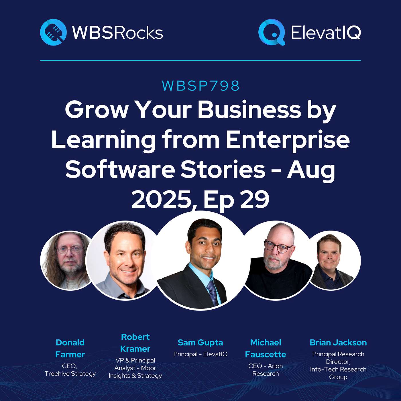 WBSP798: Grow Your Business by Learning from Enterprise Software Stories - Aug 2025, Ep 29, an Objective Panel Discussion
