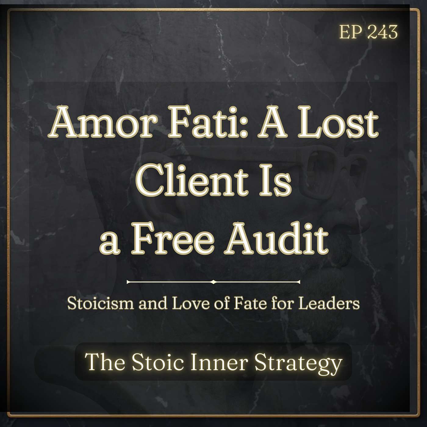 Ep 243 – Amor Fati: A Lost Client Is a Free Audit episode artwork