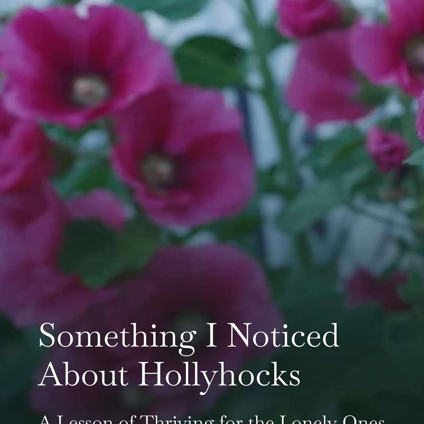 Something I Noticed About Hollyhocks: A Lesson in Thriving for the Lonely Ones episode artwork