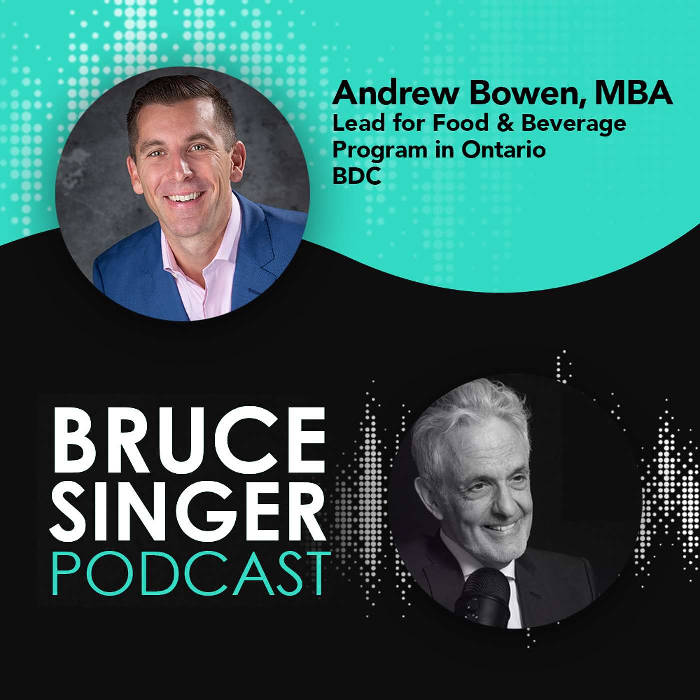 Bruce Singer Podcast