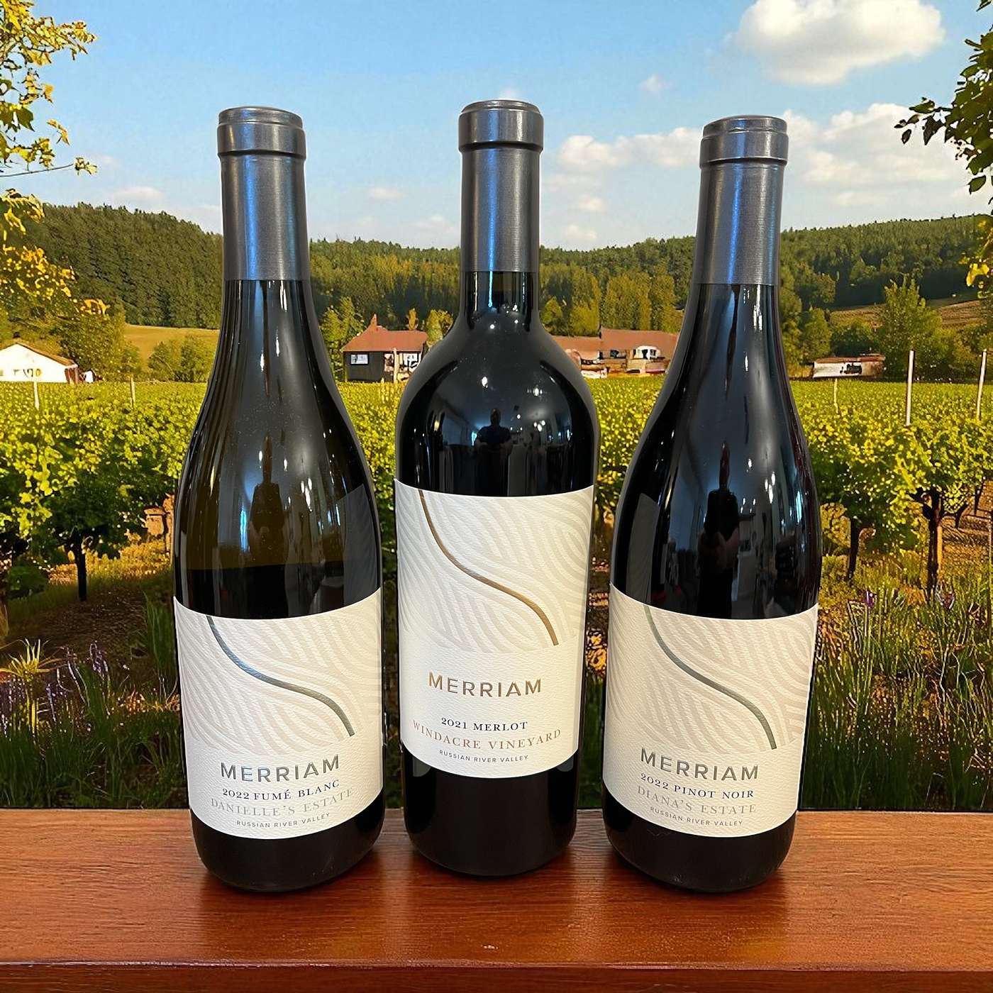 Wines of Place PROMO
