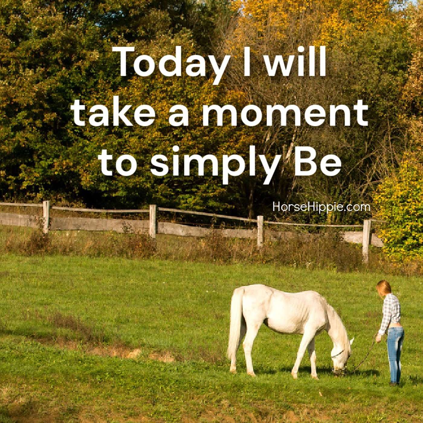 S…l…o…w   It Down