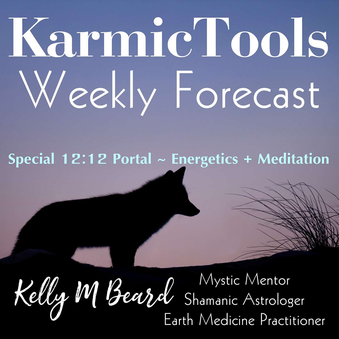 KarmicTools Forecast • Monthly Podcast