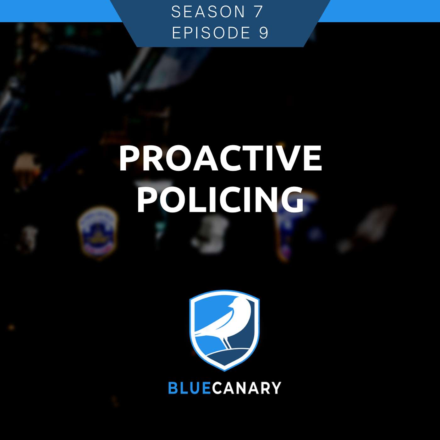 Proactive Policing