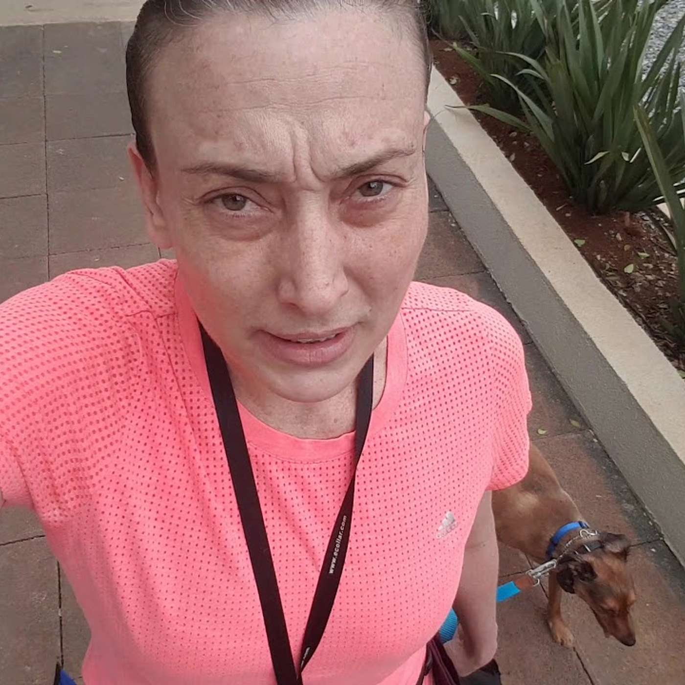 Os componentes da real liderança na vida e com os cães. 🐶