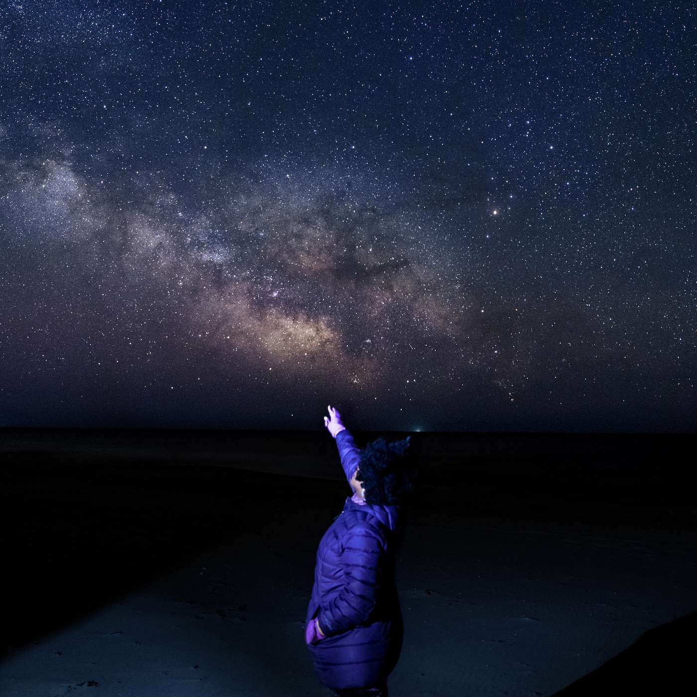 The Nature of Nantucket
