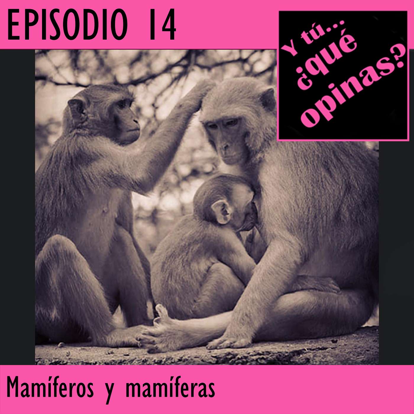 Y tú, ¿qué opinas?