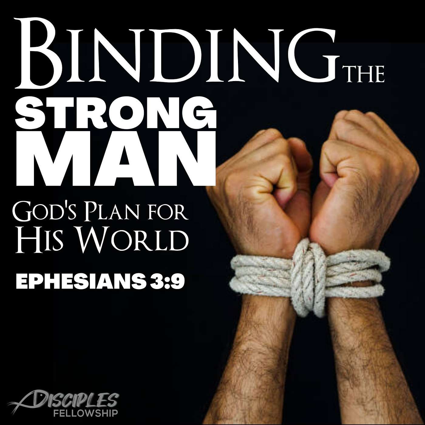 Binding the Strong Man: God's Plan for His World; Ephesians 3:9
