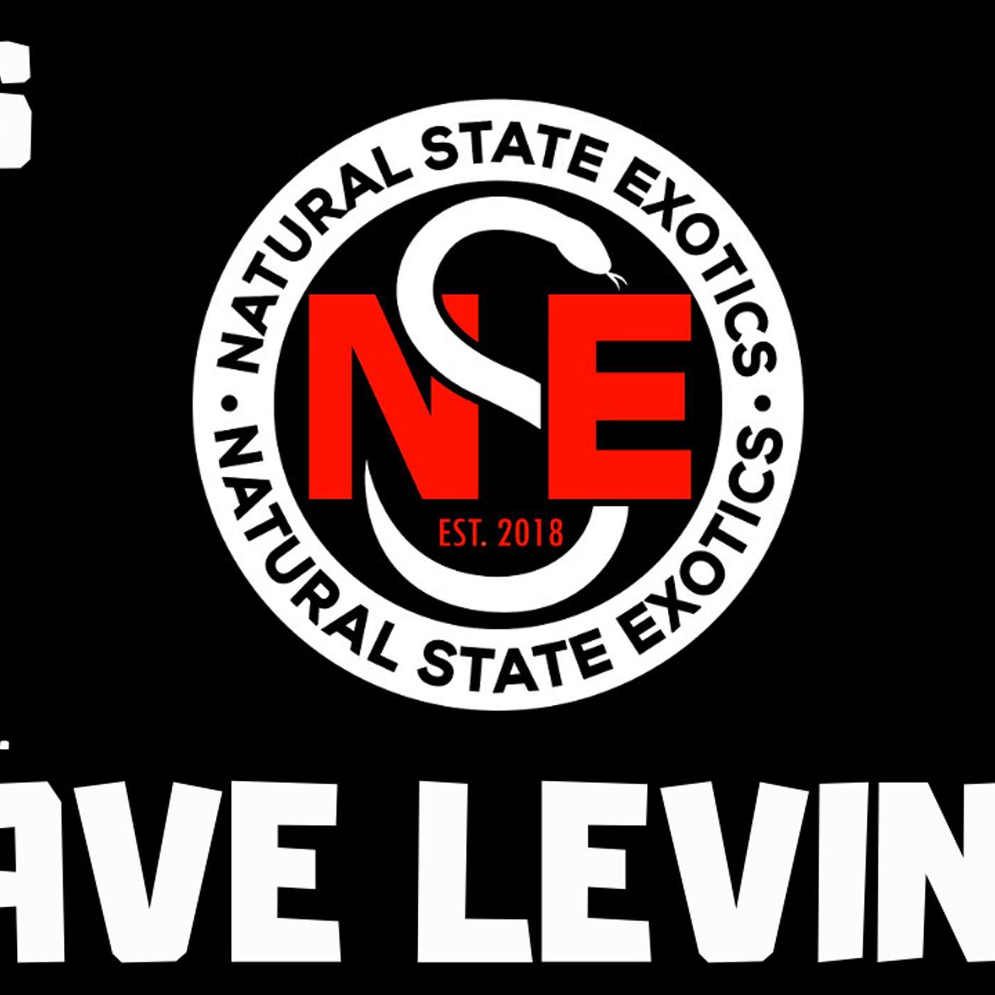 #106 DAVE LEVINE OF NATURAL STATE EXOTICS | BALL PYTHON BREEDER | DG CLOWNS | TRAP TALK WITH MJ