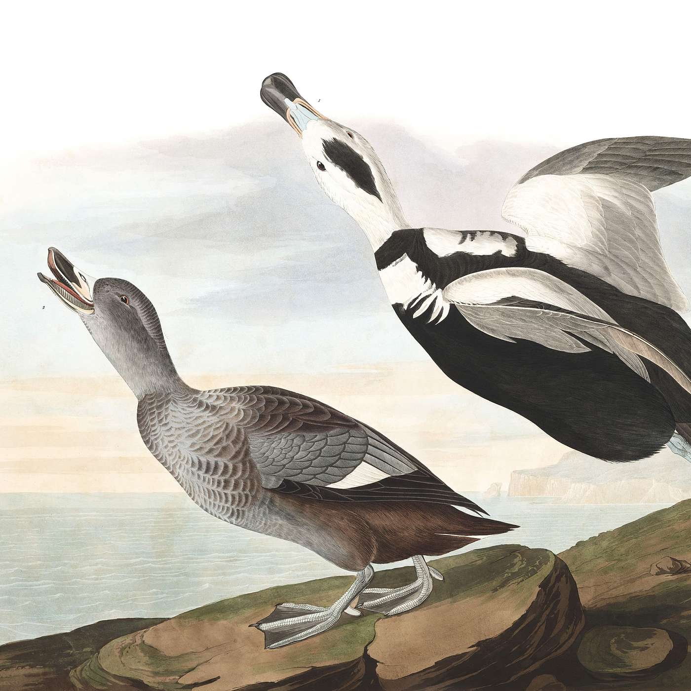 Art Dealer Diaries Podcast