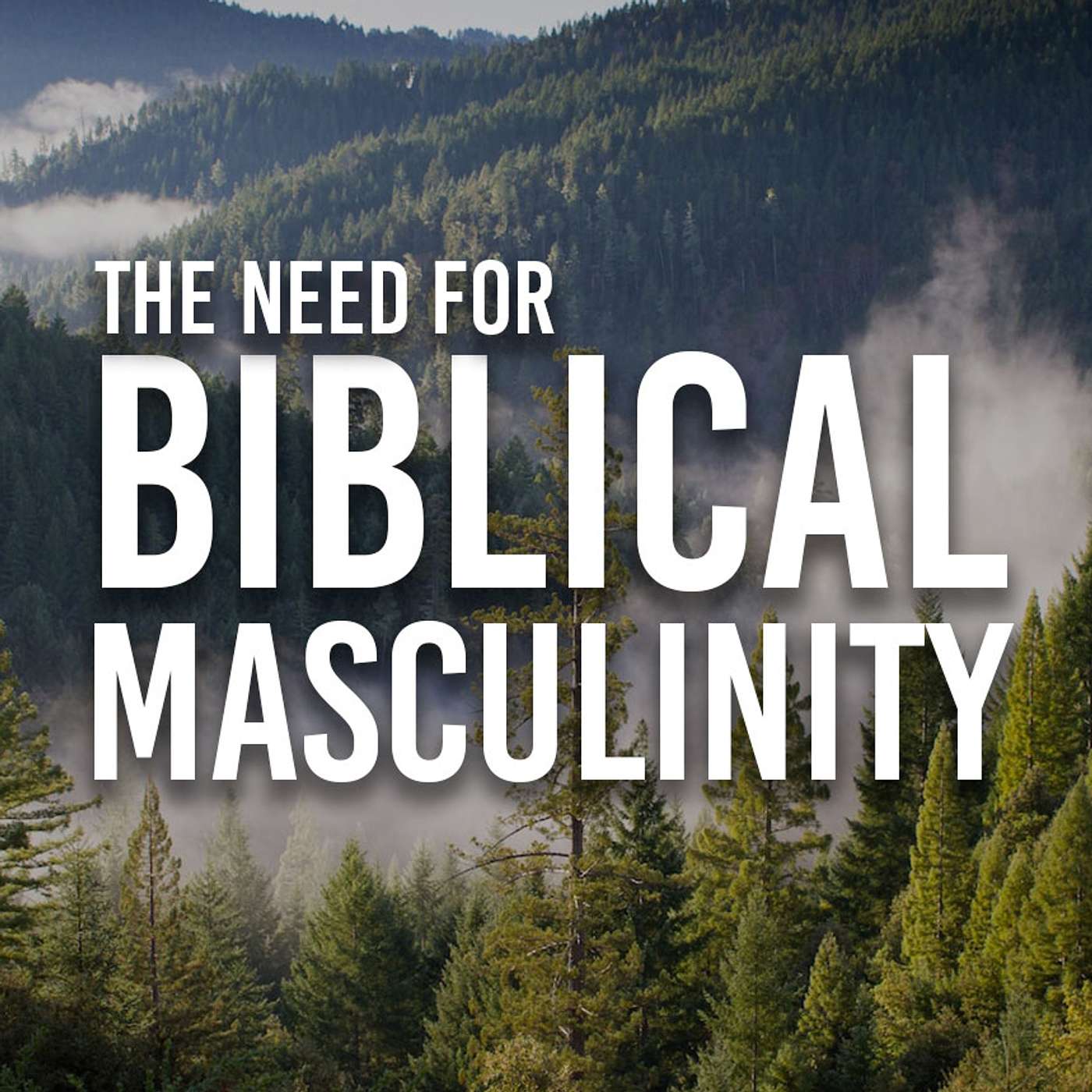 Reasonable Theology Podcast