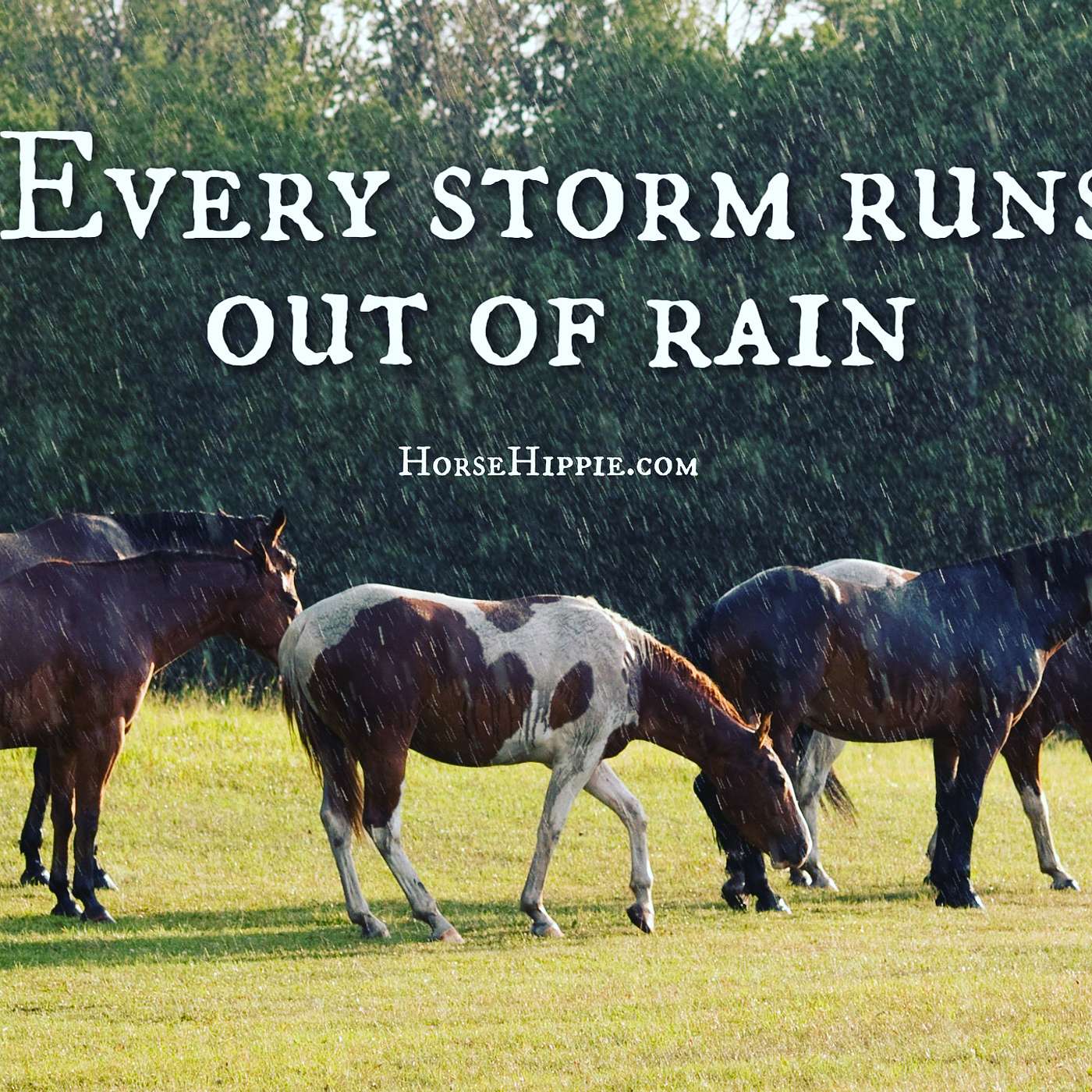 Every Storm Runs Out if Rain episode artwork