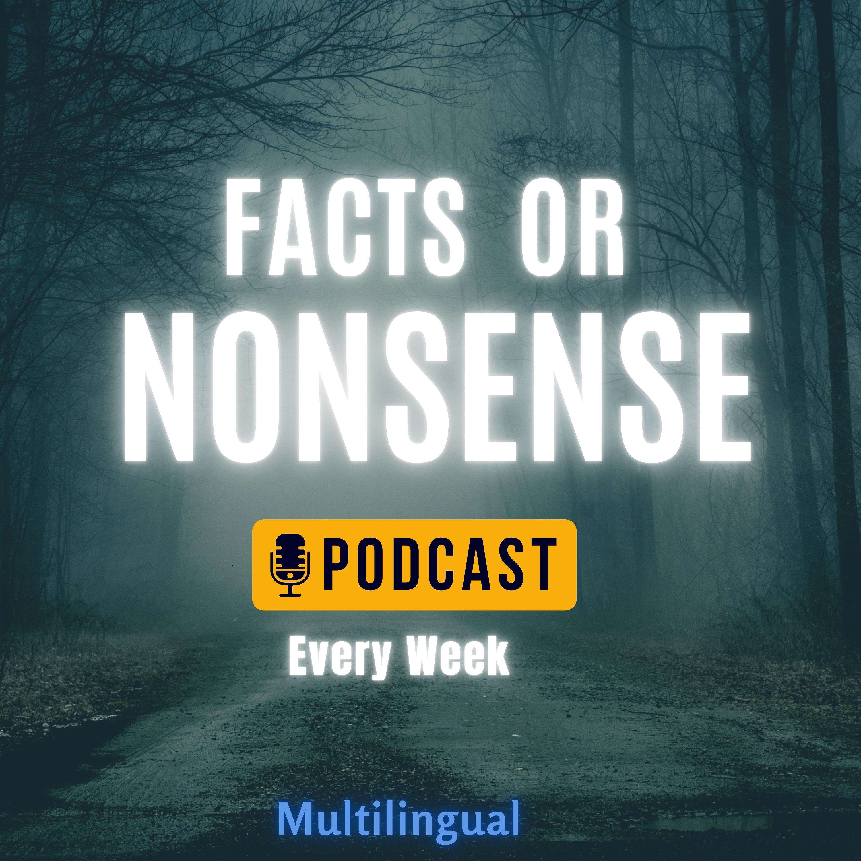 Facts Or Nonsense Artwork