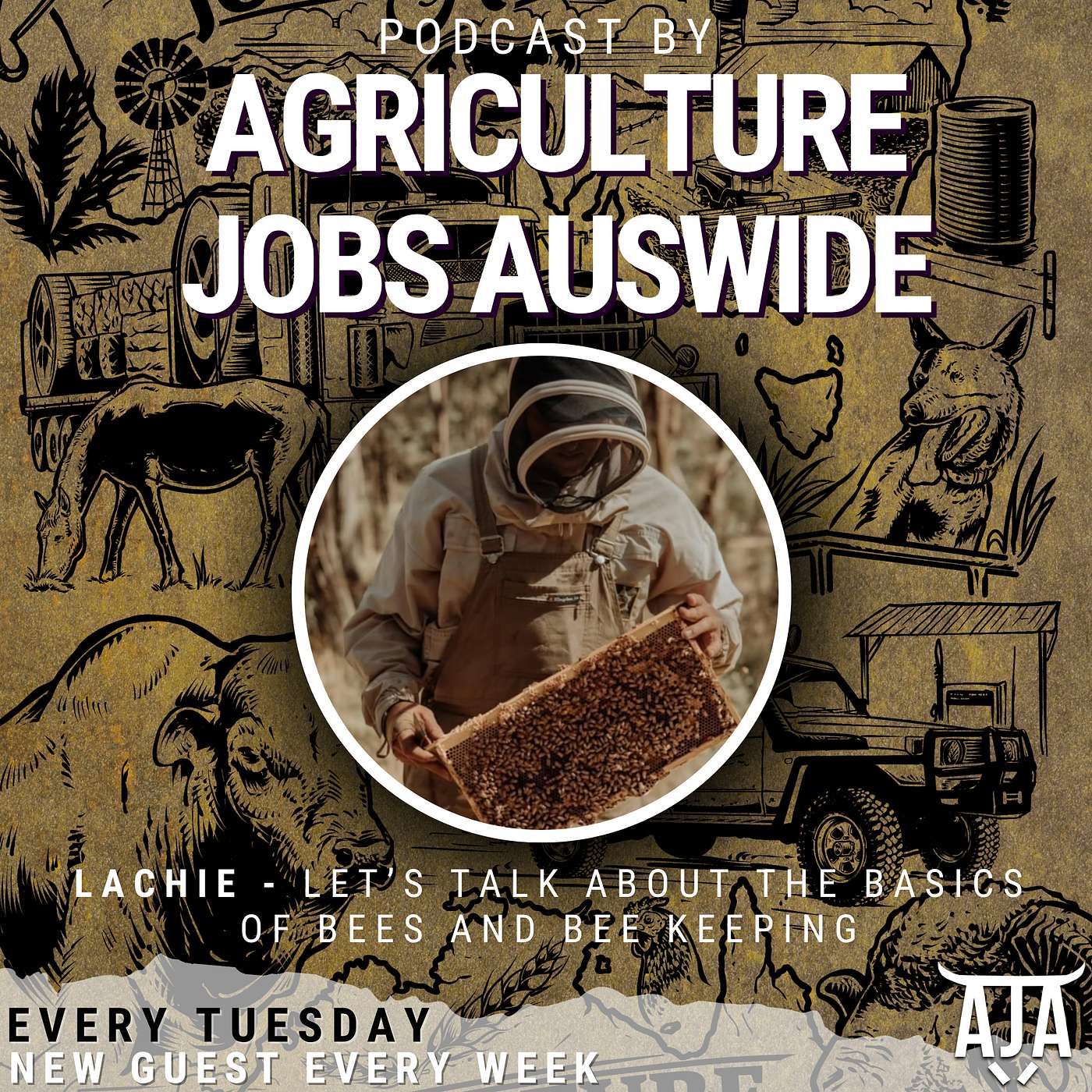 #20 Lachie – Let’sTalk About The Basics of Bees and Bee Keeping