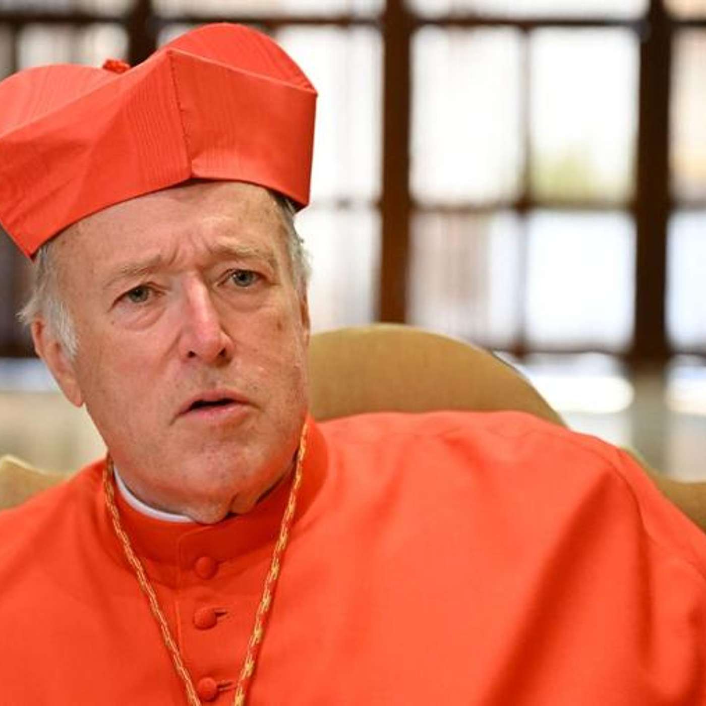 Episodio 792: 🤔 ¿CARDENAL HEREJE❓️ Cardenal McElroy Y La Comunión Para Todos / Padre Juan Razo y Luis Román episode artwork