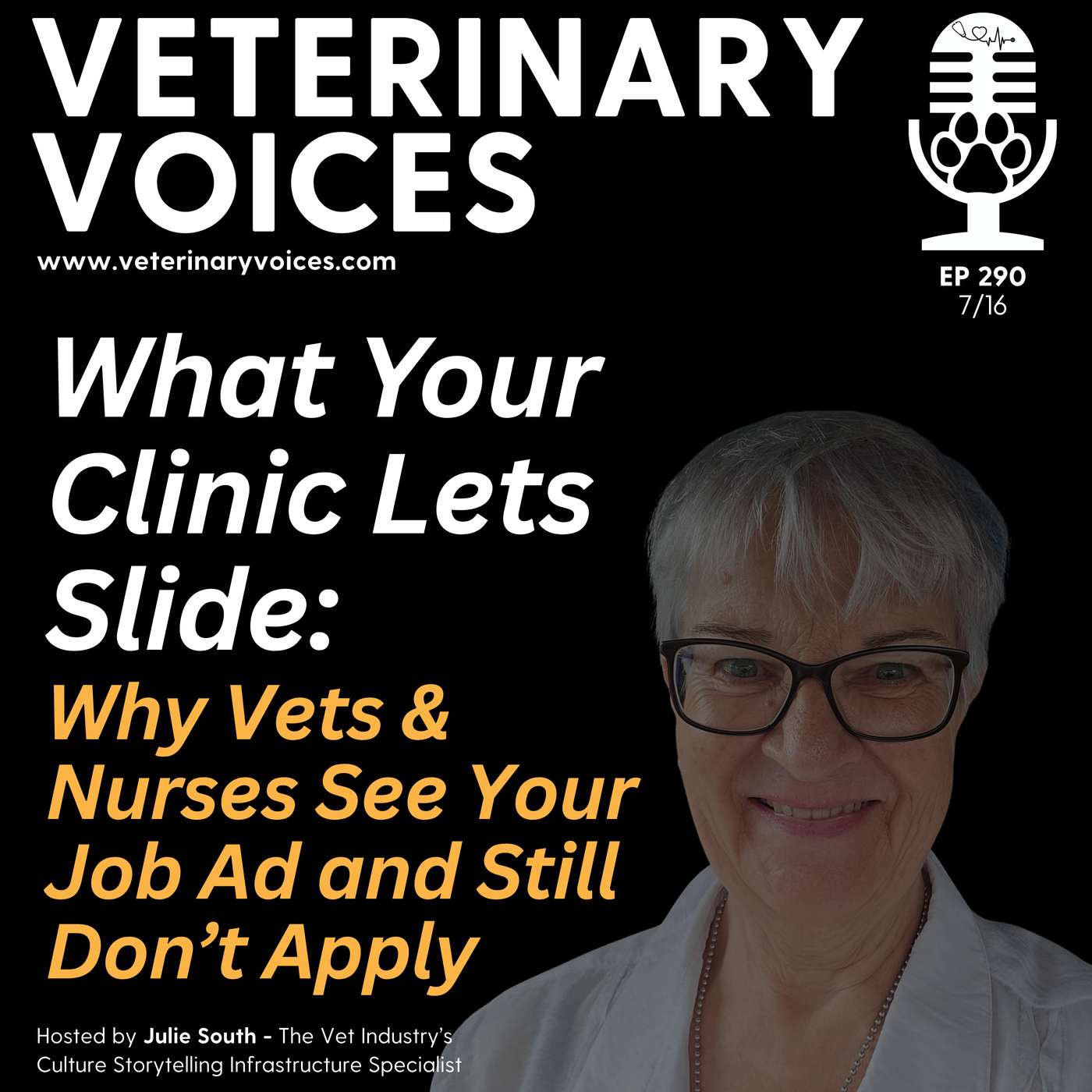 What Your Clinic Lets Slide: Why Vets See Your Job Ad and Still Don’t Apply - 290