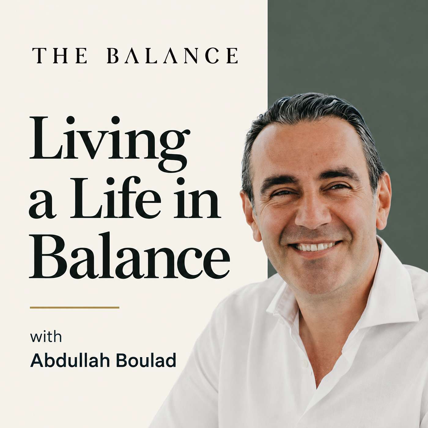 Artwork for Living a Life in Balance