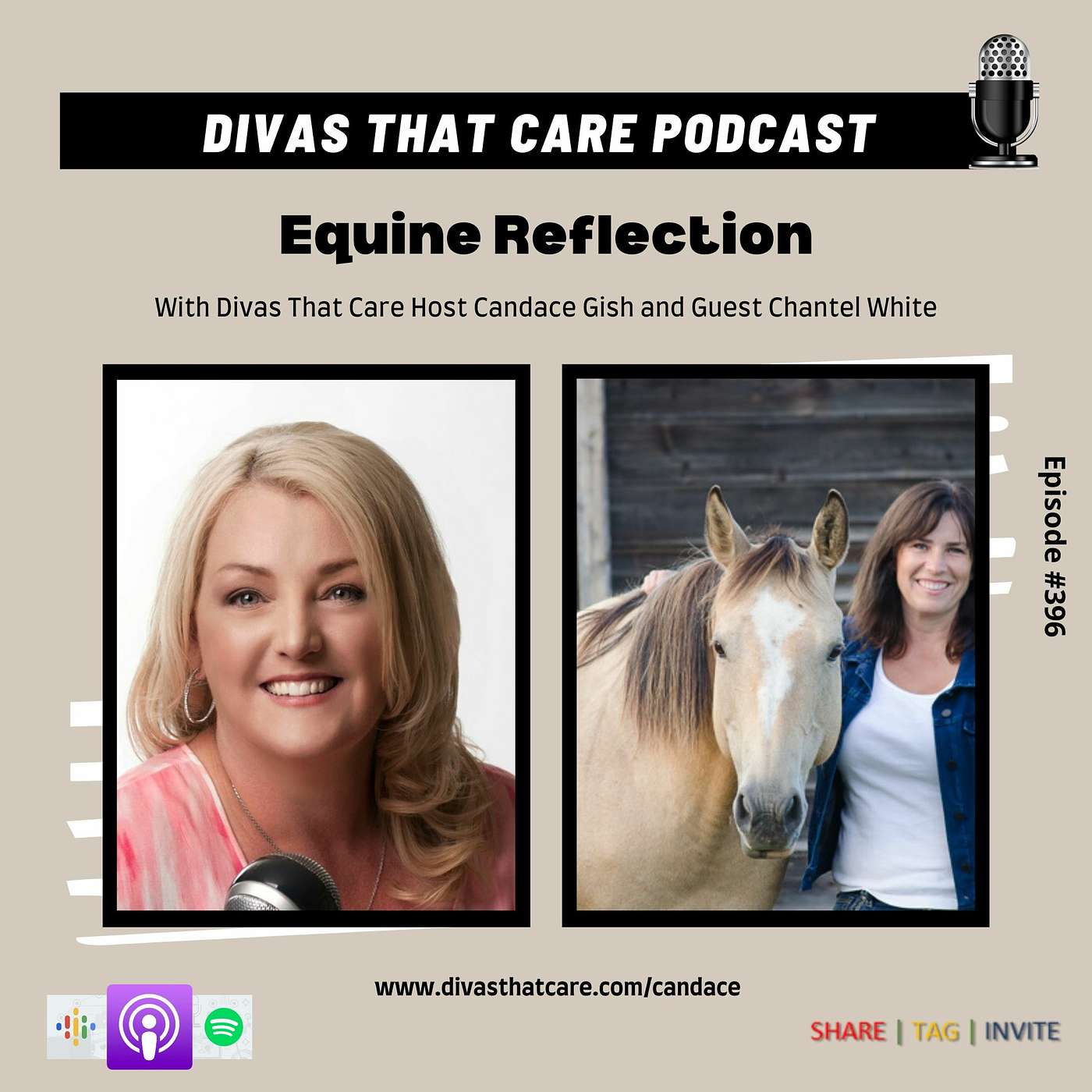Equine Reflection episode artwork