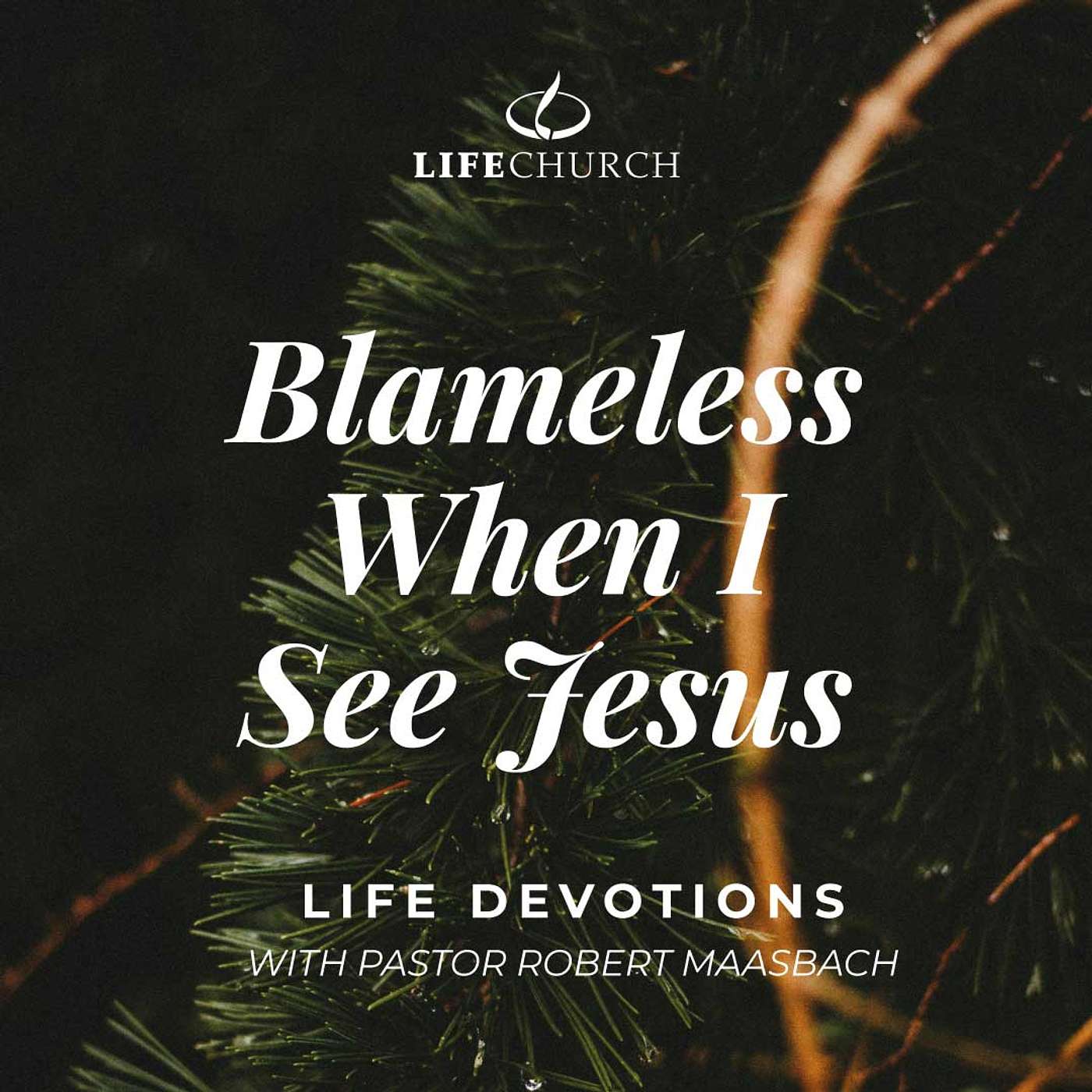 Blameless When I See Jesus - 28.12.24