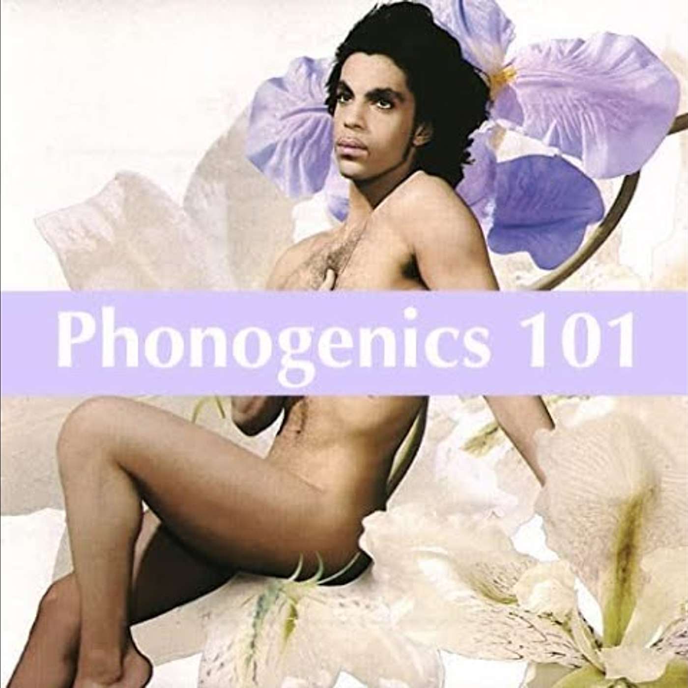 Phonogenics 101: Discussing Albums Track By Track