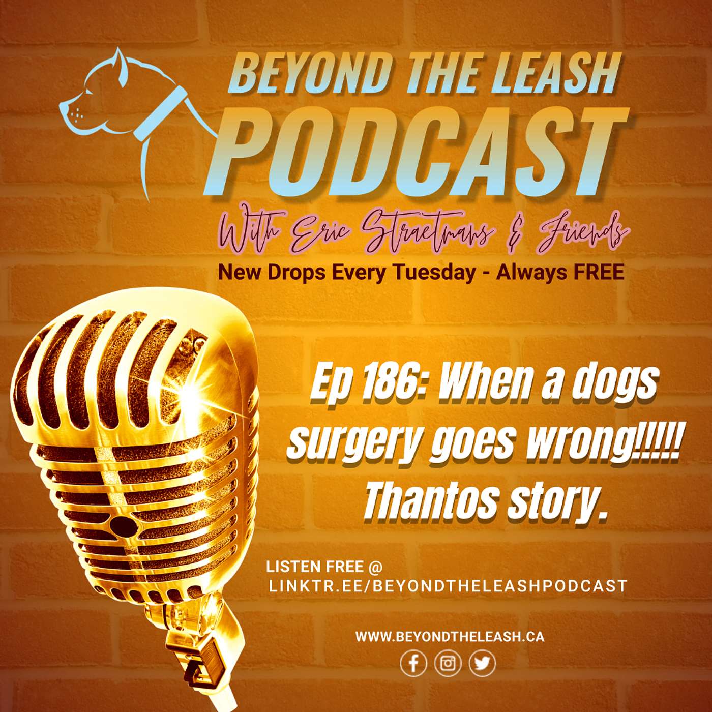 Ep 186: When a dogs surgery goes wrong!!! Thantos Story.