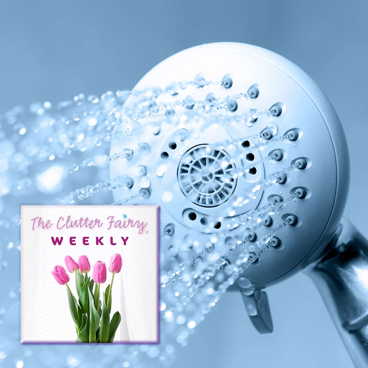 The Clutter Fairy Weekly #65 - Context and Cues: The Science of Habits and the Struggle with Clutter