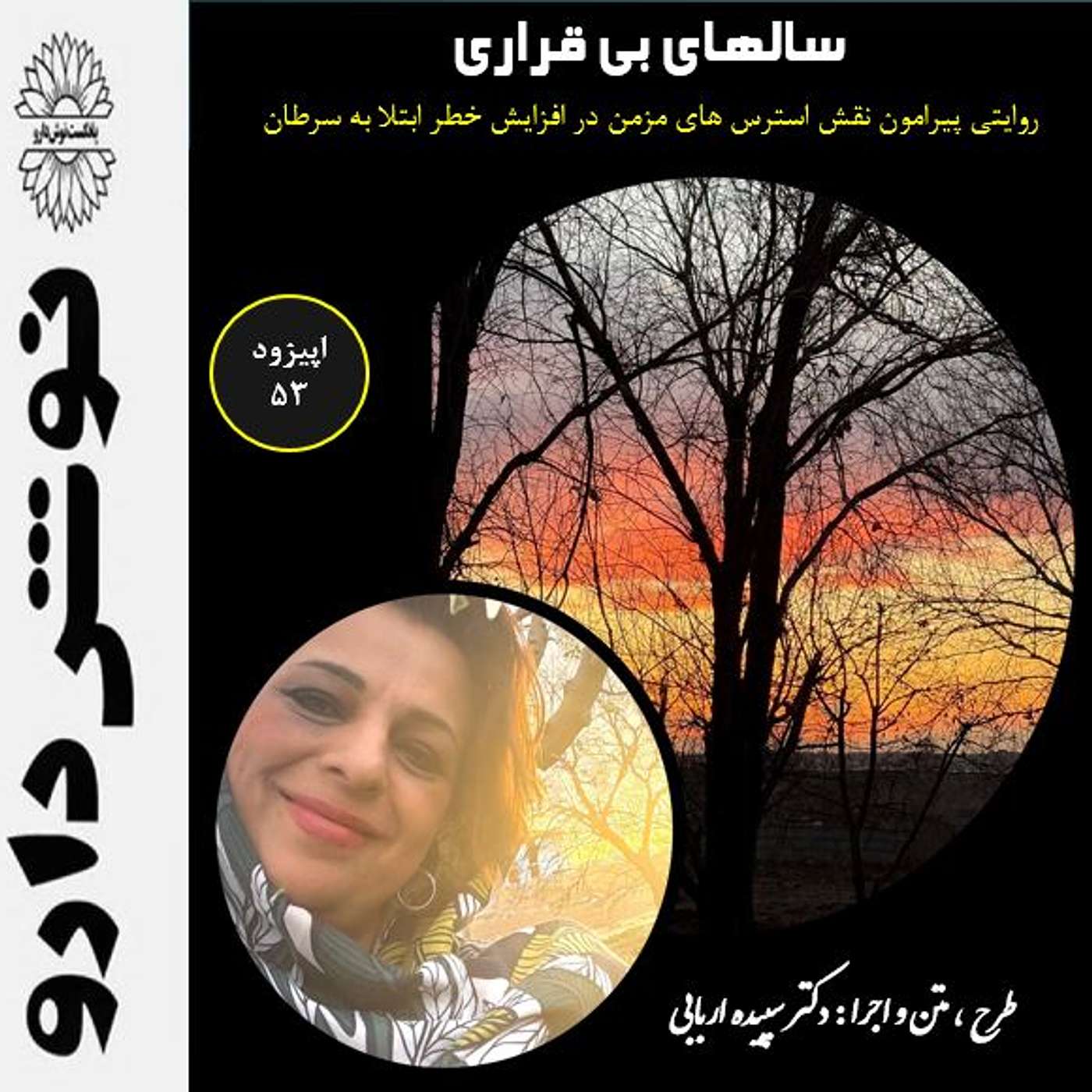 سالهای بی قراری