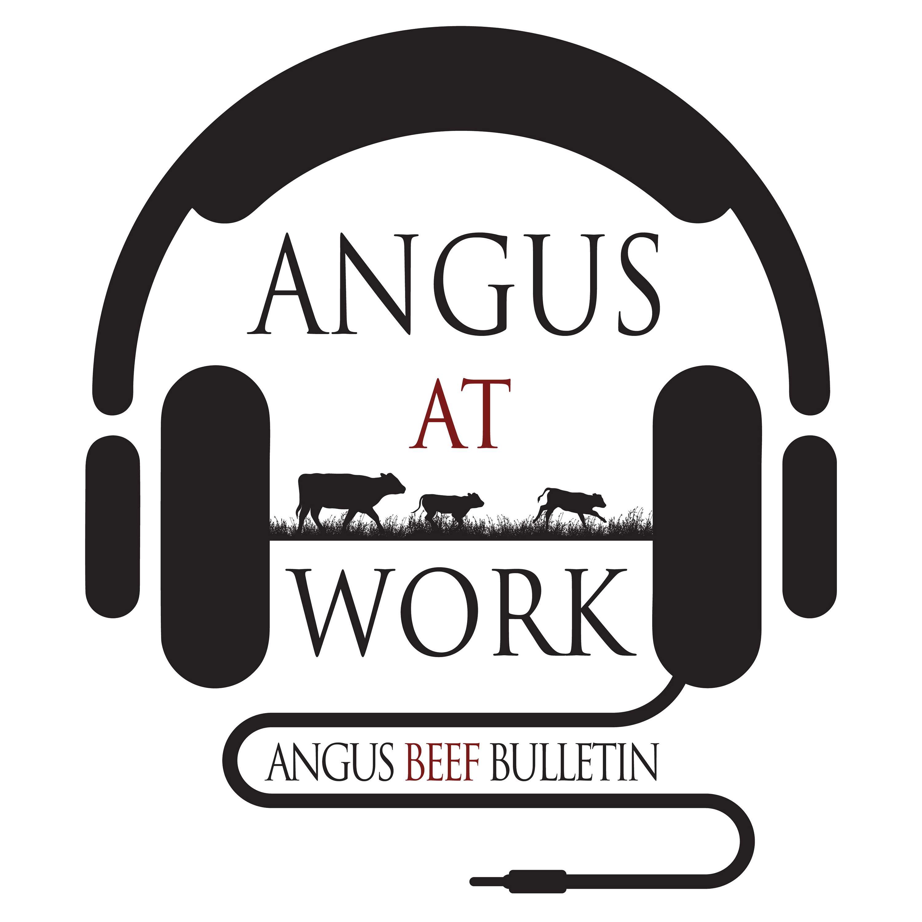 Angus at Work