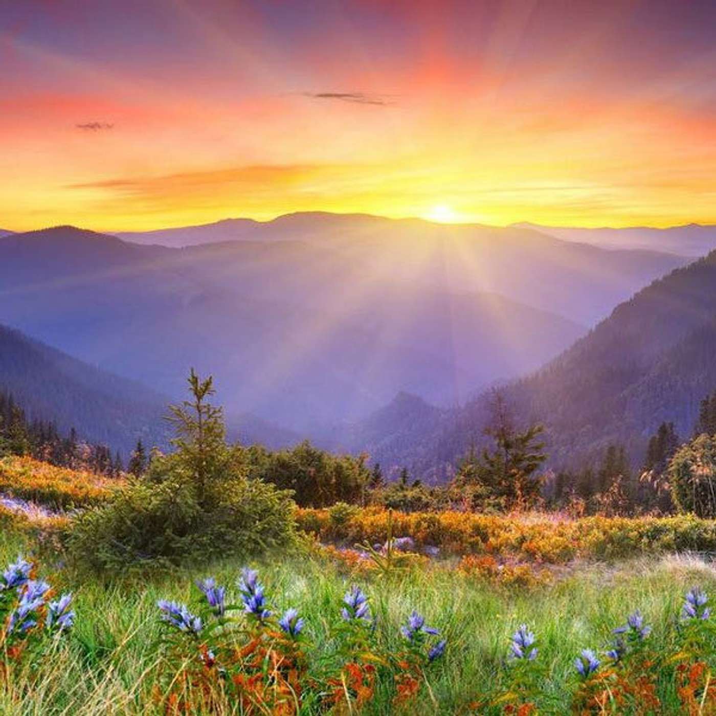 Words of Comfort, Consolation and Hope
