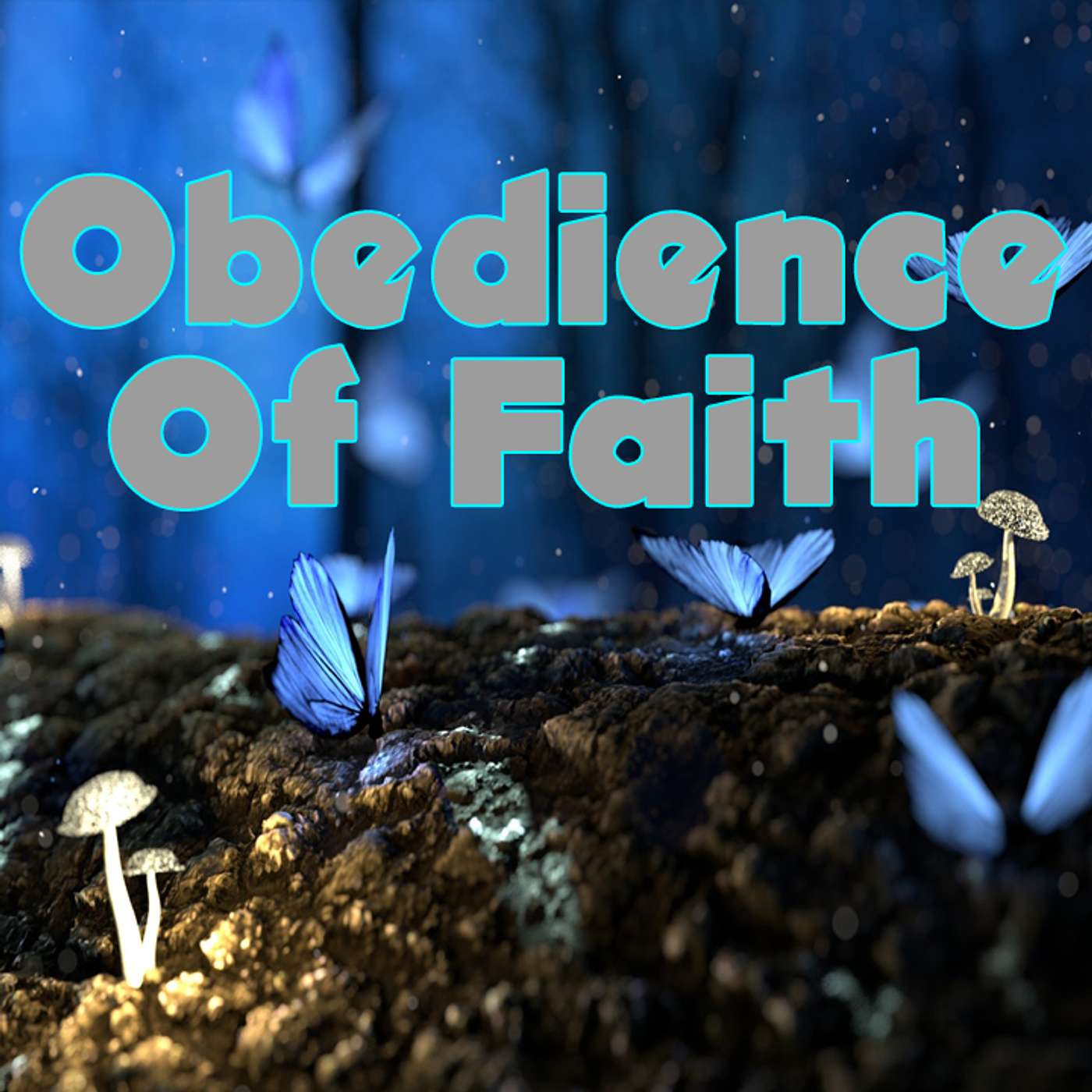🙂 Obedience Of Faith - EB 13
