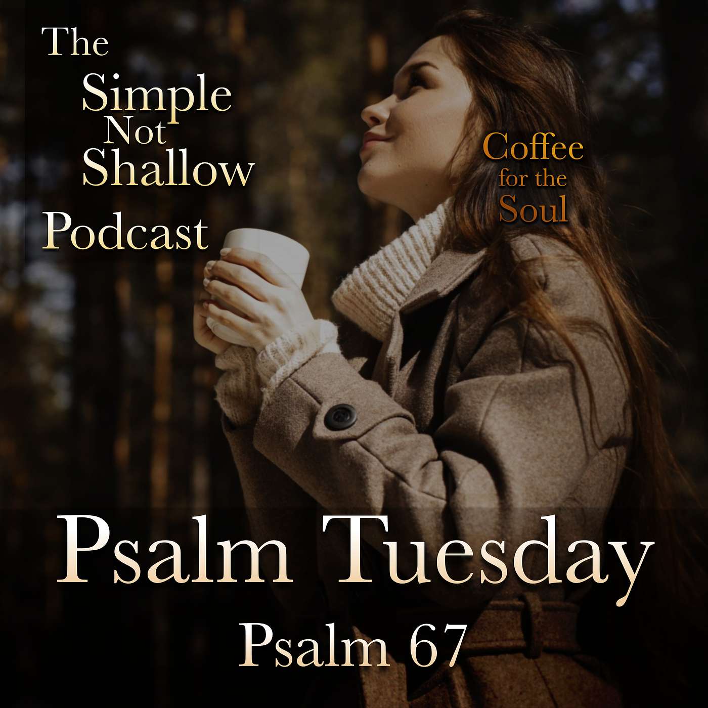 The Simple Not Shallow Podcast