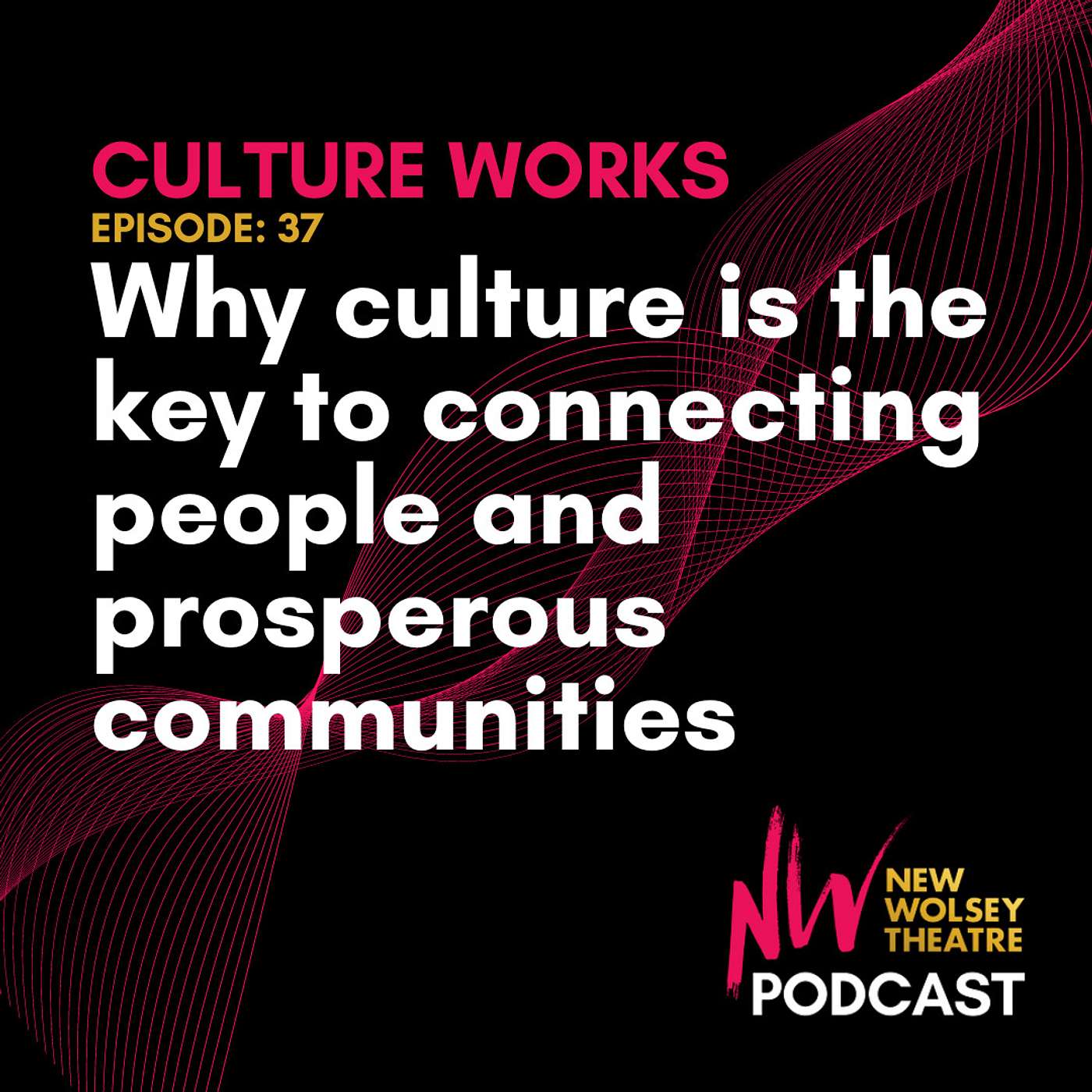 New Wolsey Theatre Podcast