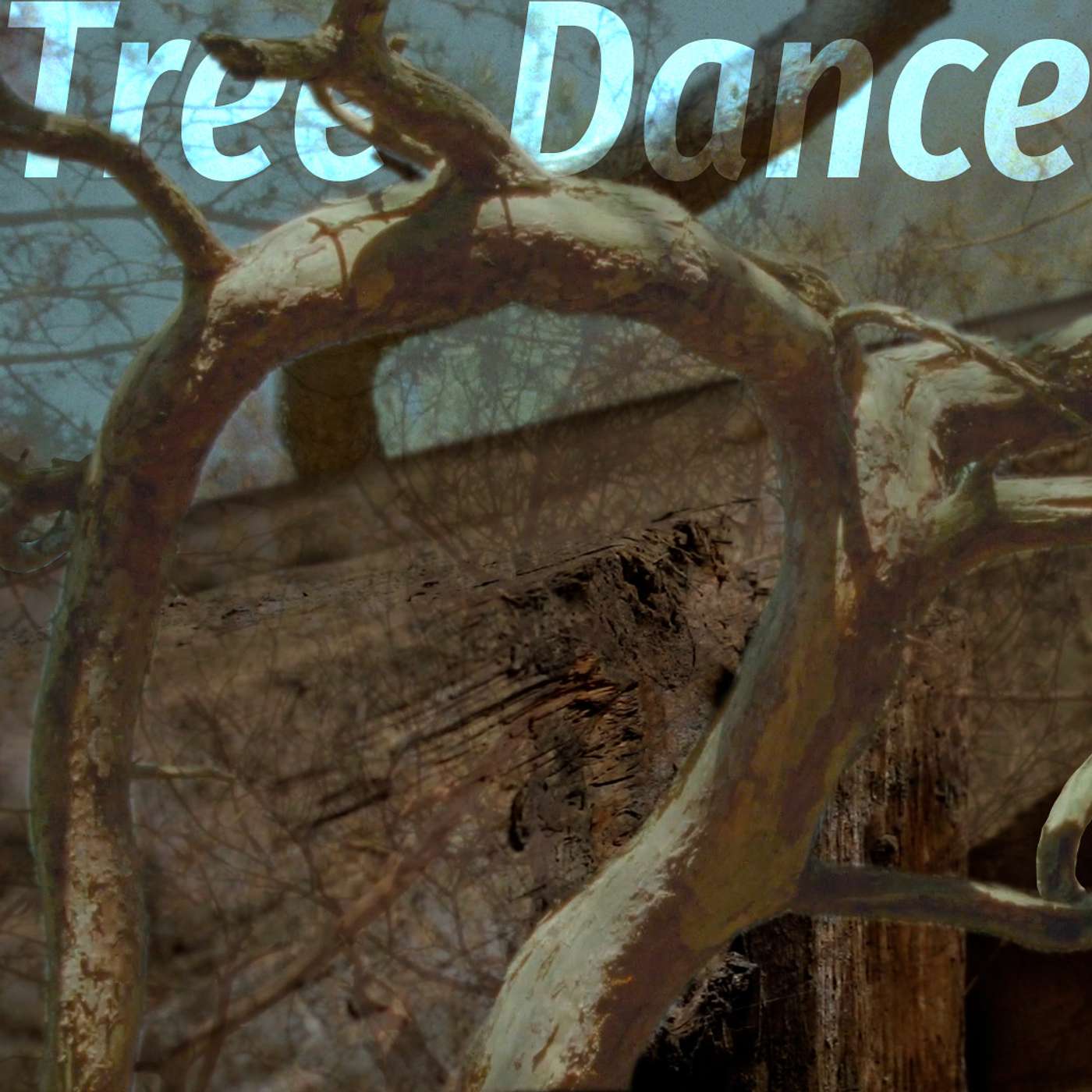 Tree Dance