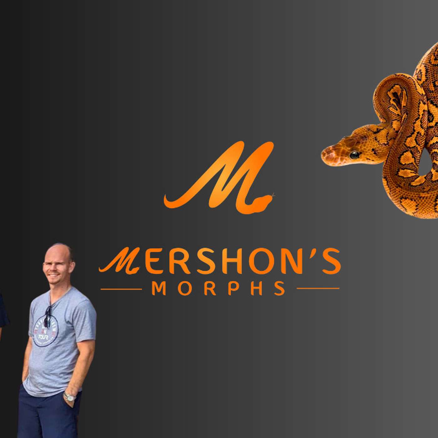 Shelby's most anticipated Ball Python project