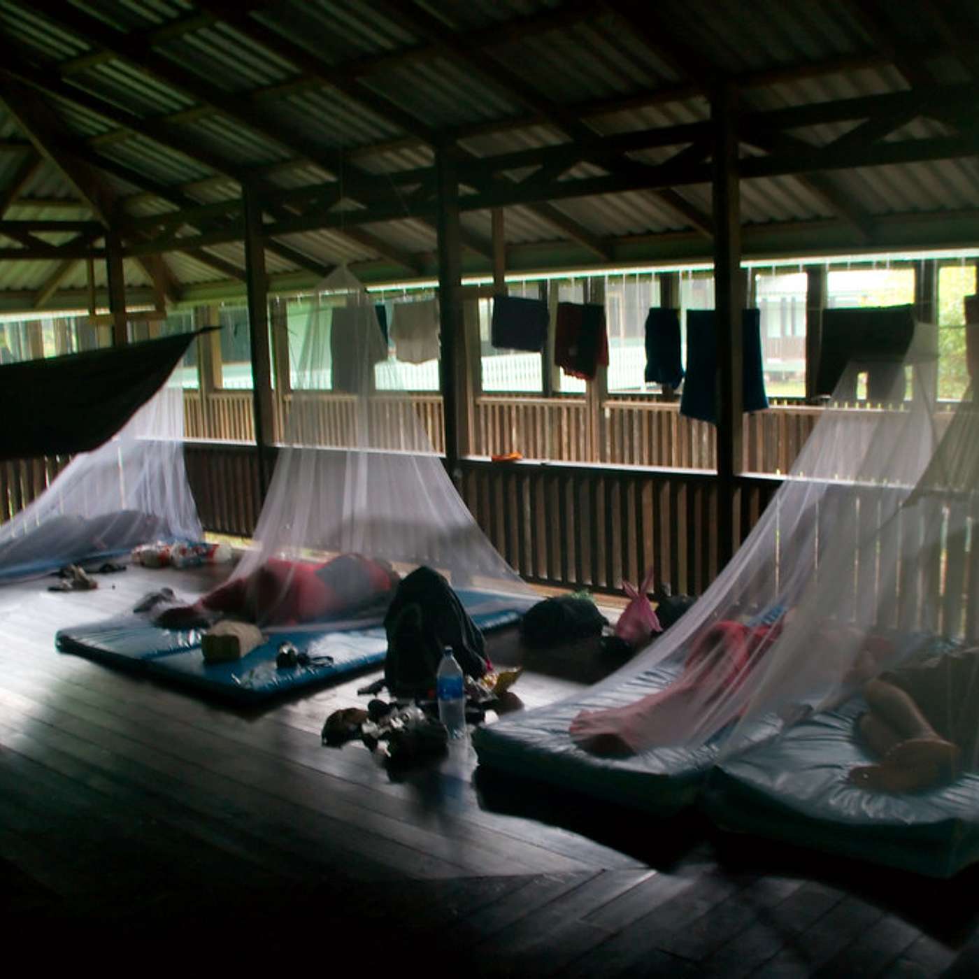 Santé, Science et Développement