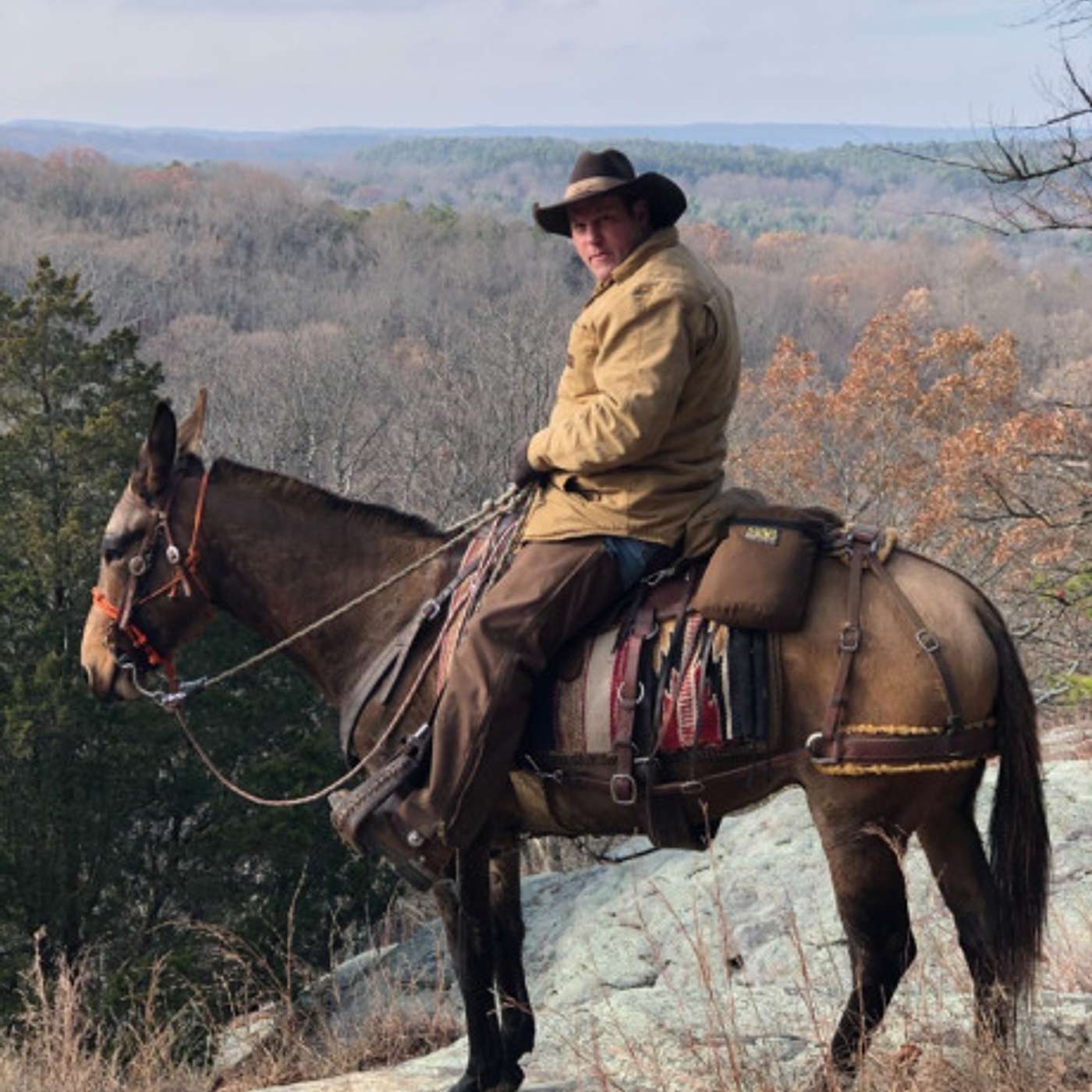 MULE TALK! THE PODCAST ABOUT MULES, MULE TRAINING, AND THE MULE INDUSTRY.