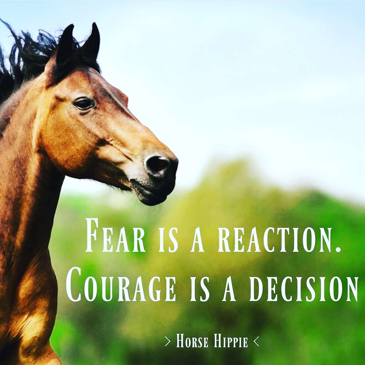 Fear is a Reaction episode artwork