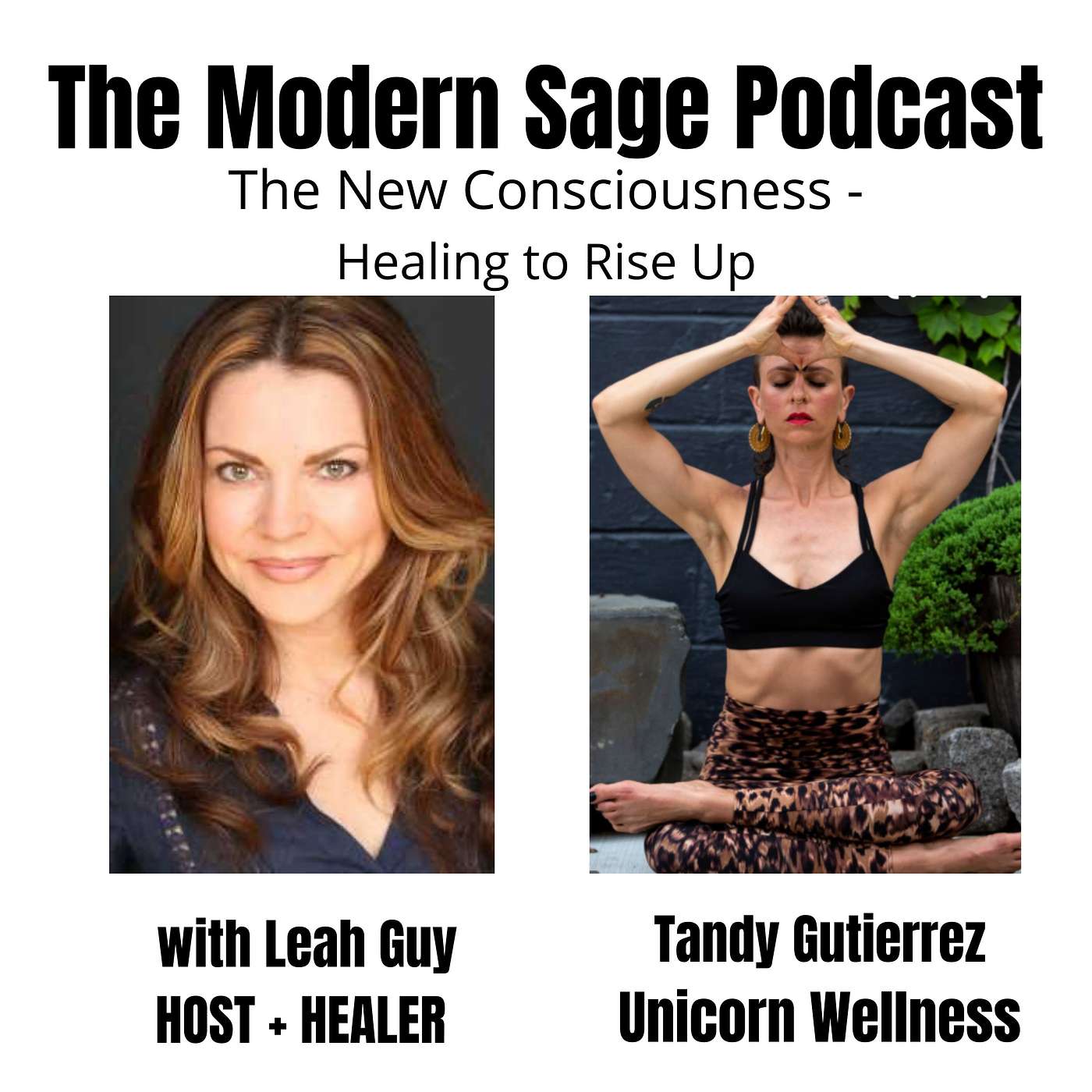The Modern Sage Podcast