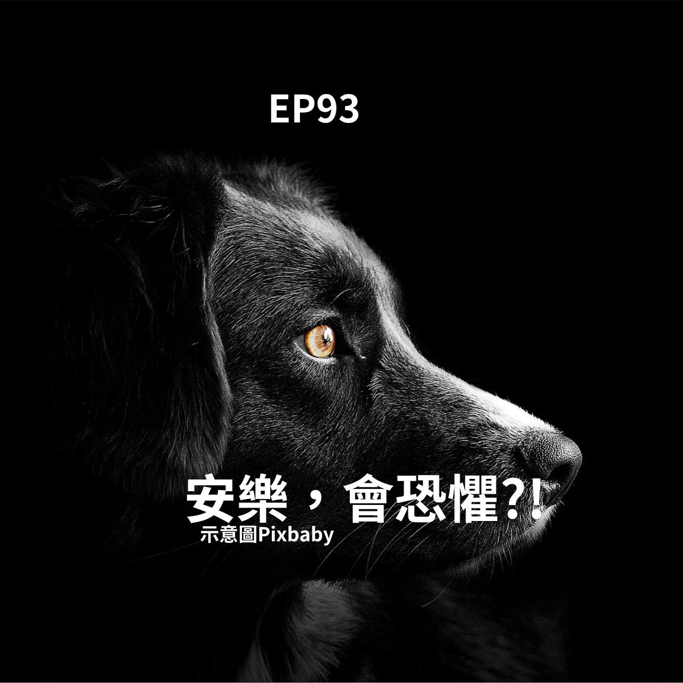EP93重症溝通！主人考慮安樂 狗狗:你知道我在掙扎嗎？(柚子貍&安妮動物園/從0到1媒體人x斜槓) episode artwork