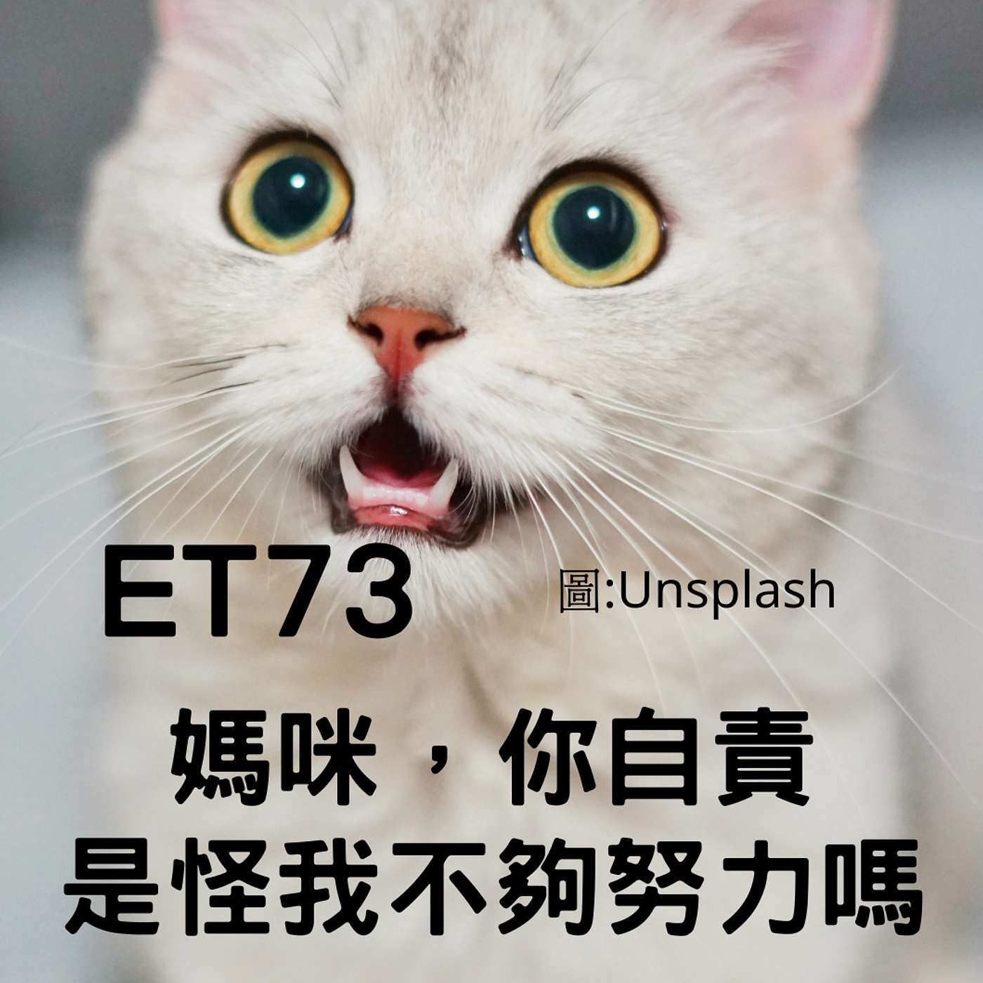從0到1媒體人X斜槓 EP73離世溝通:媽咪的自責壓在我身上 是怪我不夠努力嗎？(柚子貍&安妮動物園) episode artwork