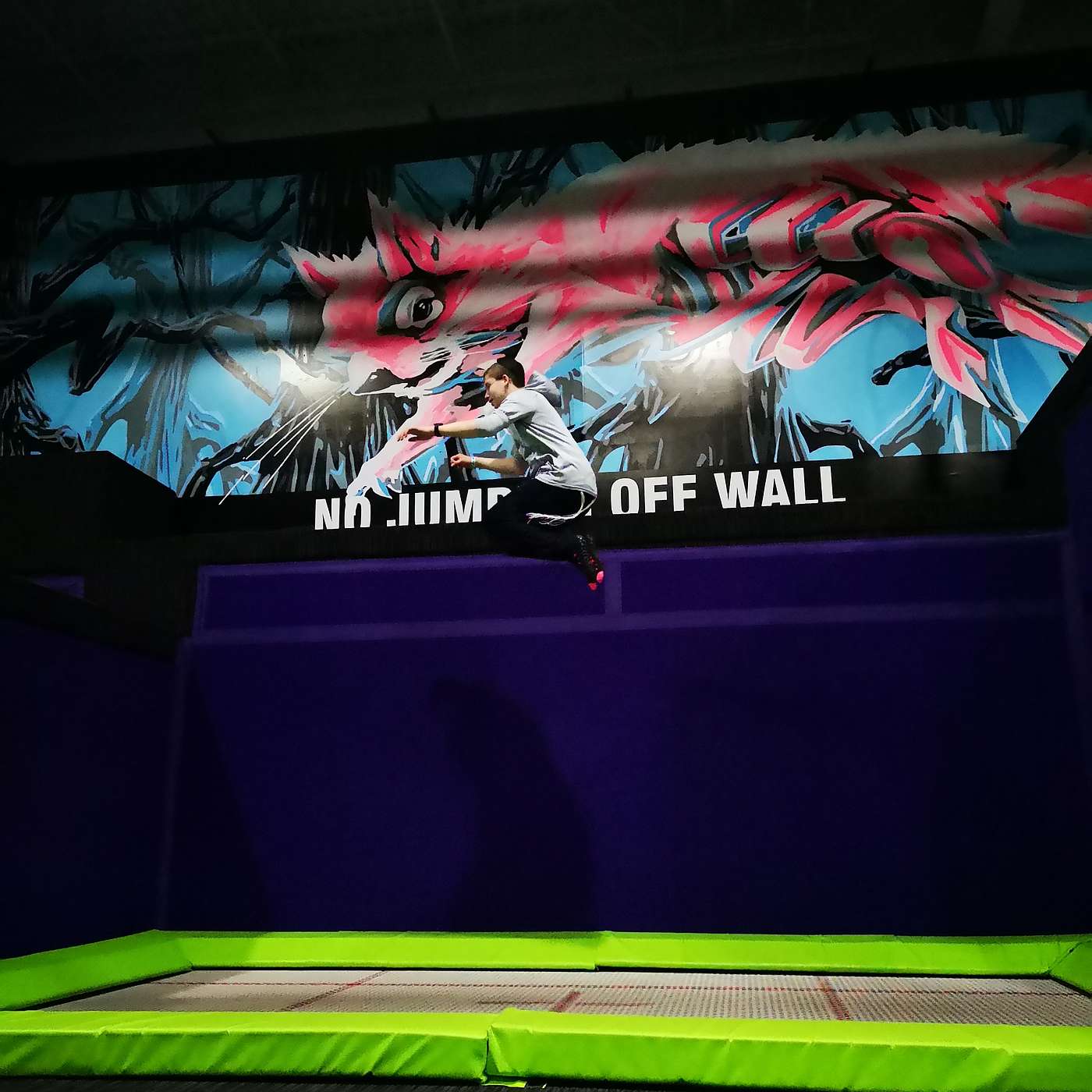 Episode 837 - Life is a Trampoline!