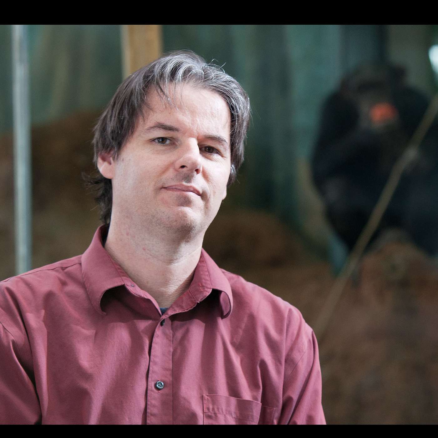 On Liberating Laboratory Chimpanzees and other Animal Welfare Issues with Dr. Steve Ross