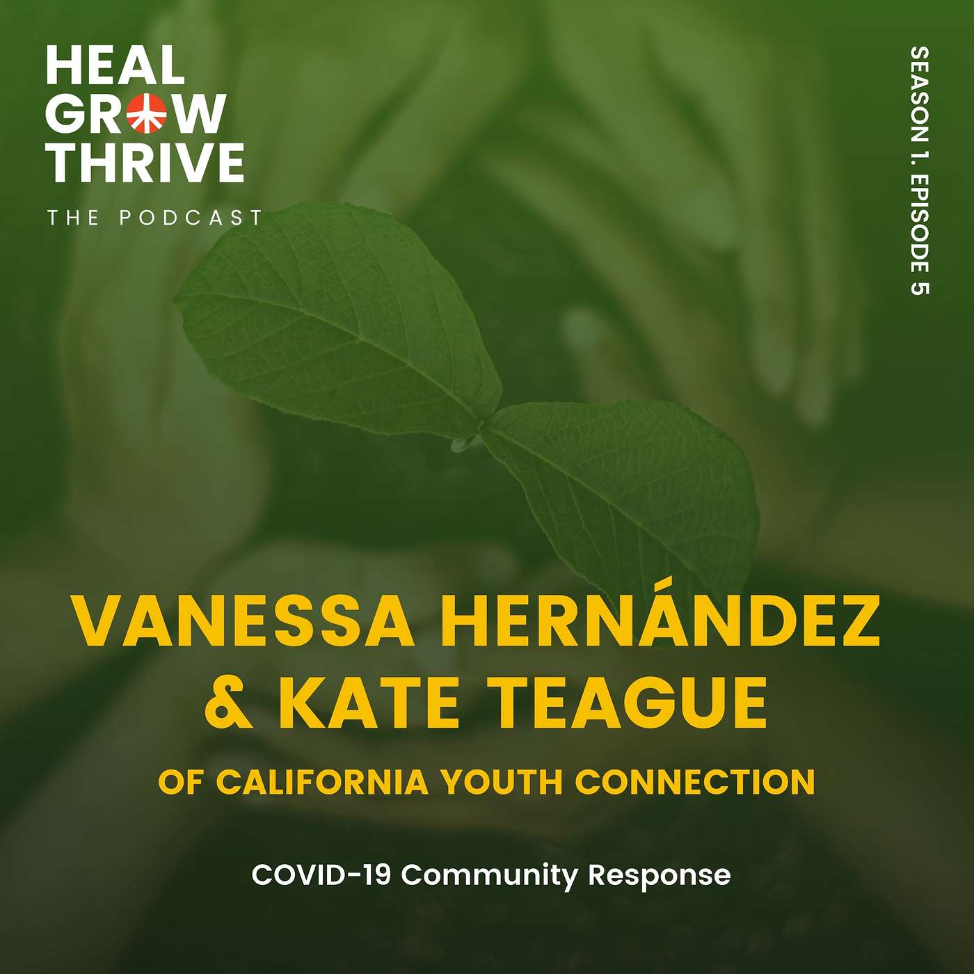 COVID-19 Community Response: A Conversation with Vanessa Hernandez & Kate Teague COVID-19 Community Response: A Conversation with Vanessa Hernandez & Kate Teague