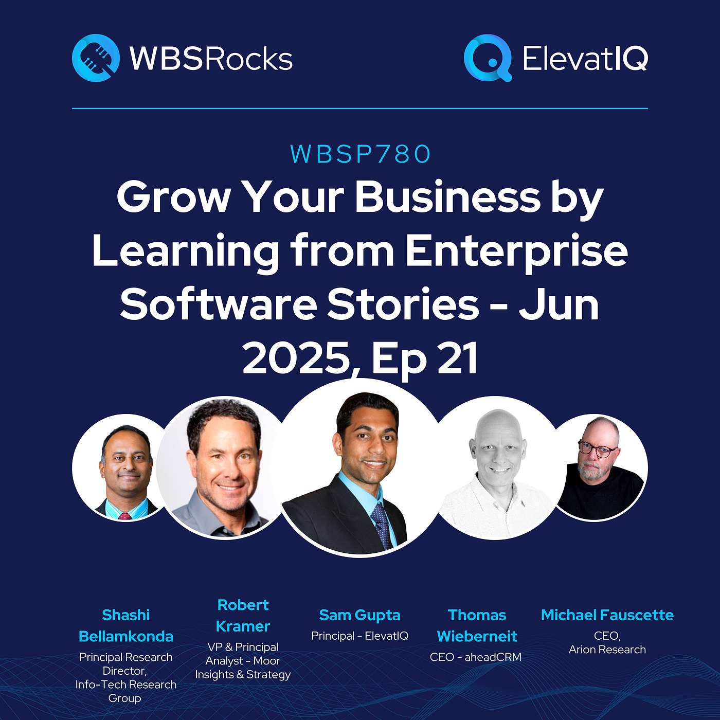 WBSP780: Grow Your Business by Learning from Enterprise Software Stories - Jun 2025, Ep 21, an Objective Panel Discussion
