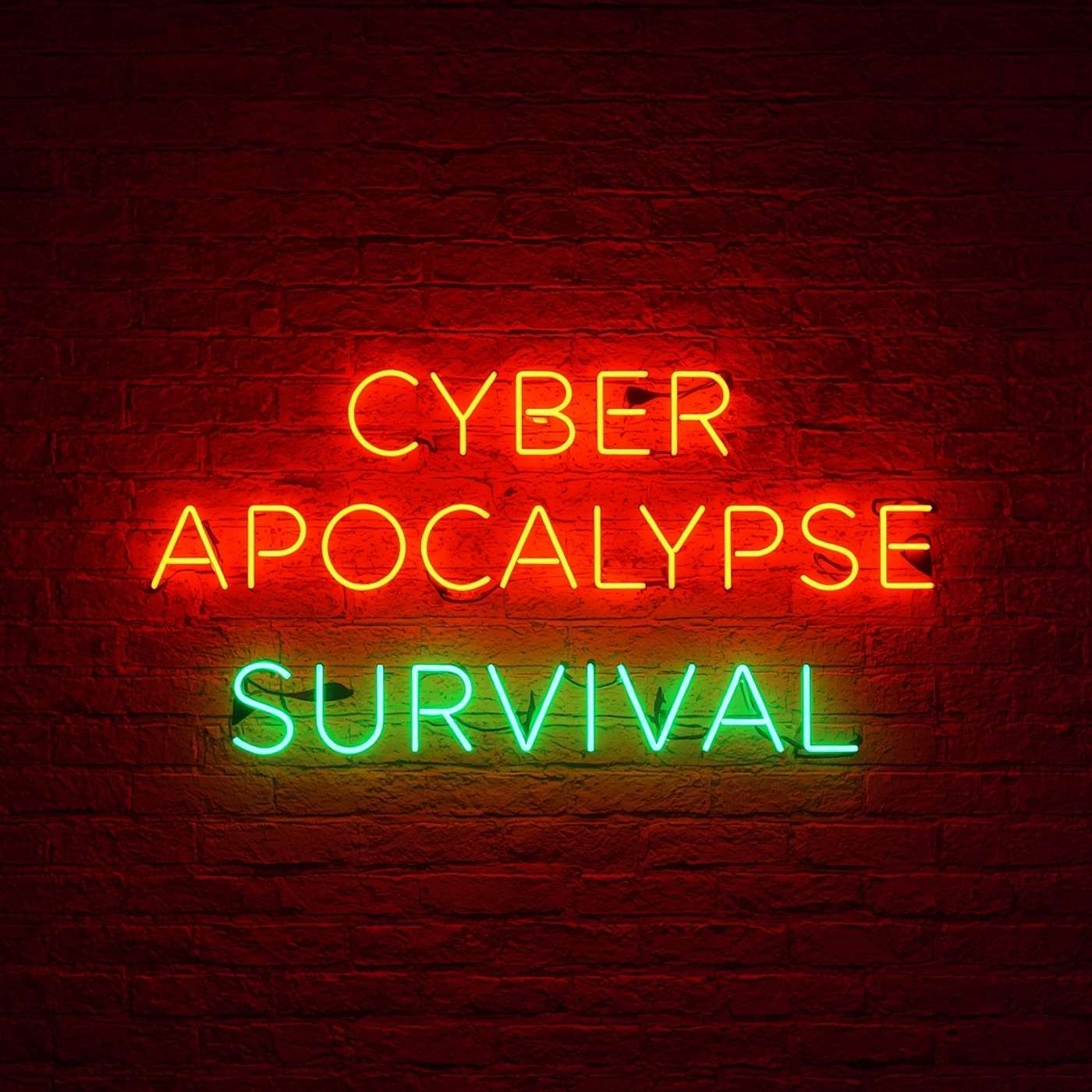Cyber Apocalypse Survival