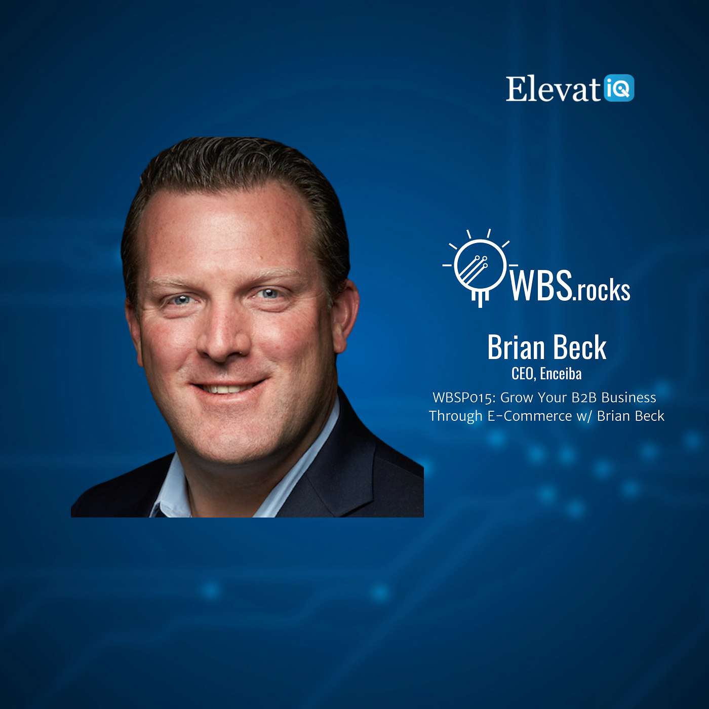 WBSP015: Grow Your B2B Business Through E-Commerce w/ Brian Beck