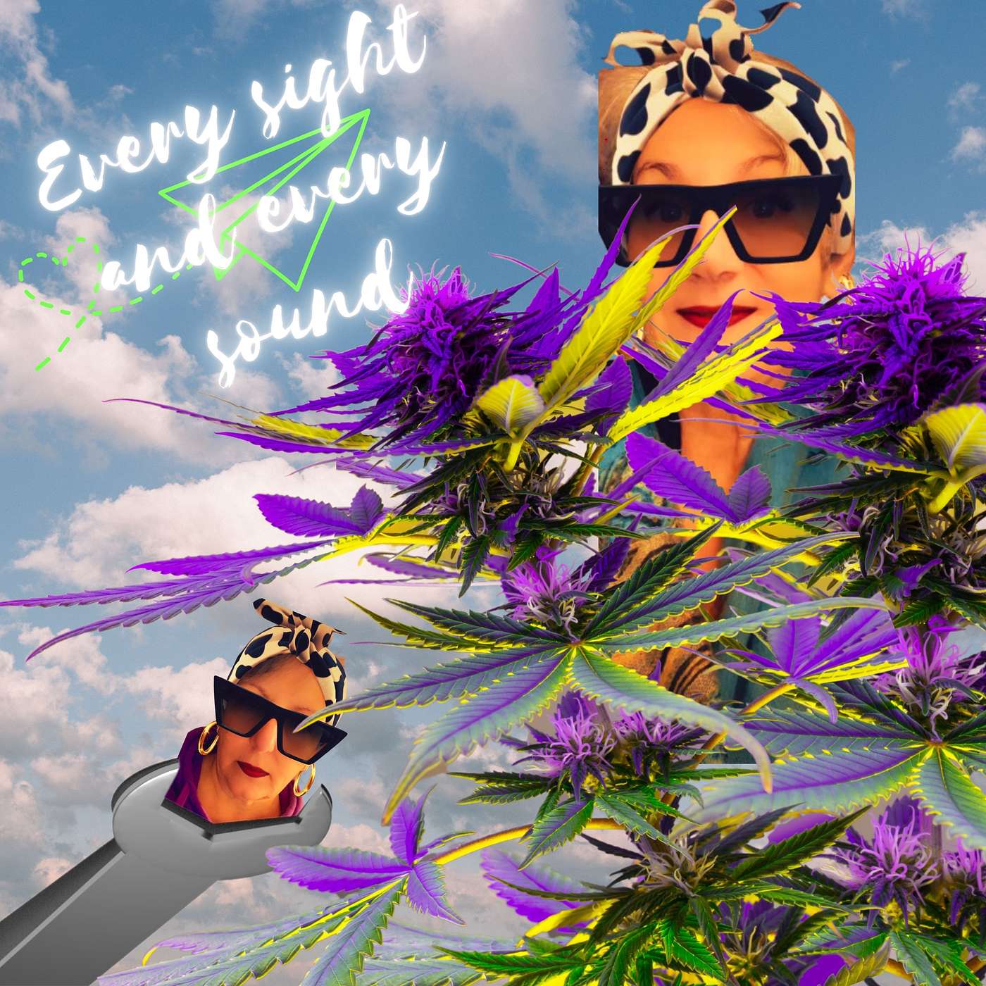 Cannabis, Hot Flashes & Hell-Raising for Women Over 50 | Every sight and every sound episode artwork