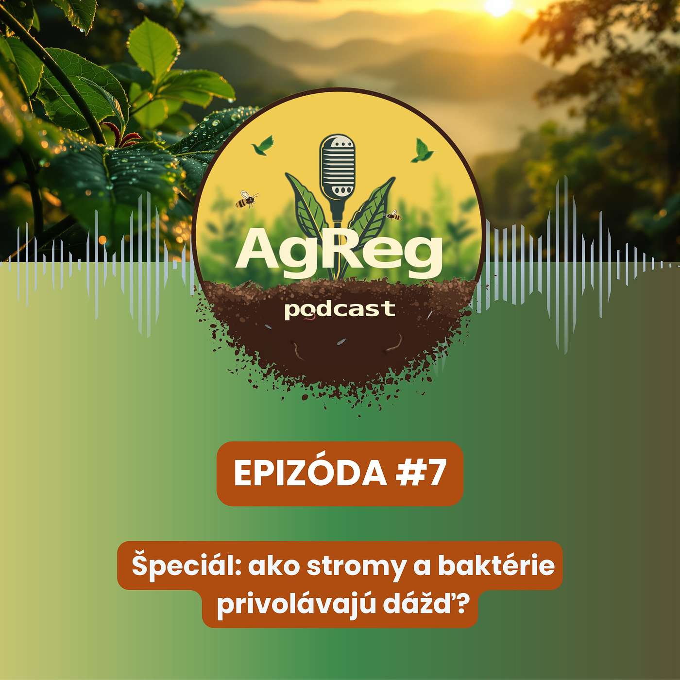 7. Špeciál: ako stromy a baktérie privolávajú dážď? 7. Špeciál: ako stromy a baktérie privolávajú dážď?
