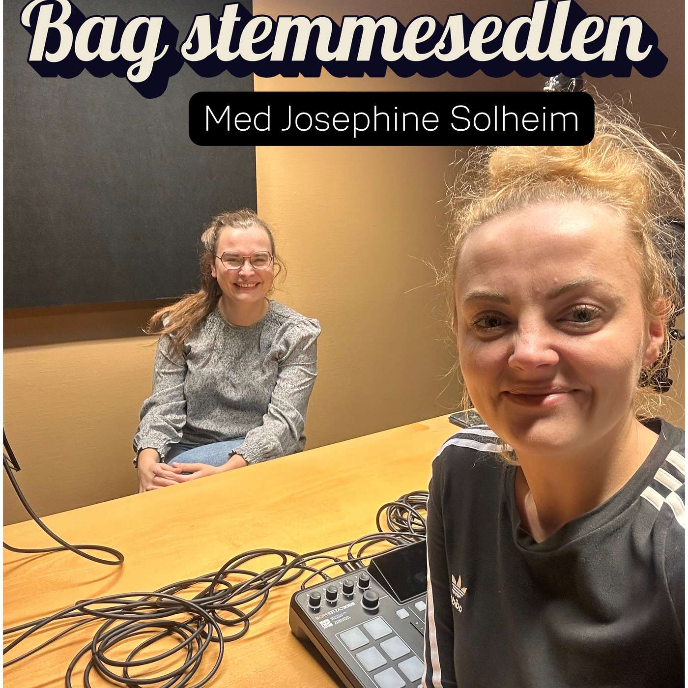 Bag stemmesedlen